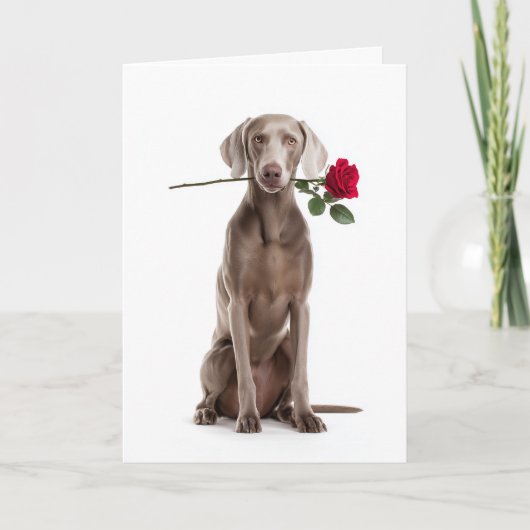 Weimaraner Valentinstag Karte (Vorderseite)