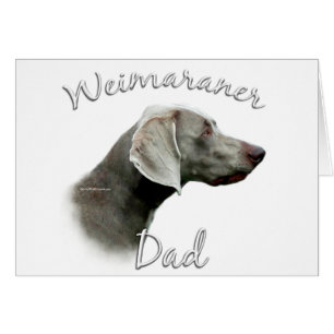 Weimaraner Vater 2