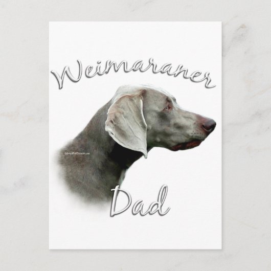 Weimaraner Vater 2 Postkarte (Vorderseite)