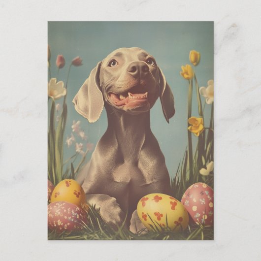 Weimaraner Vintag Ostern Postkarte (Vorderseite)