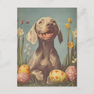 Weimaraner Vintage Ostern Postkarte