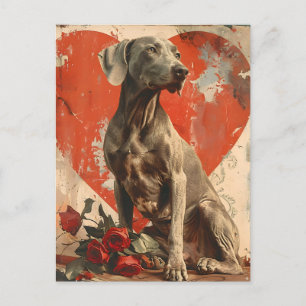 Weimaraner Vintager Valentinstag Postkarte