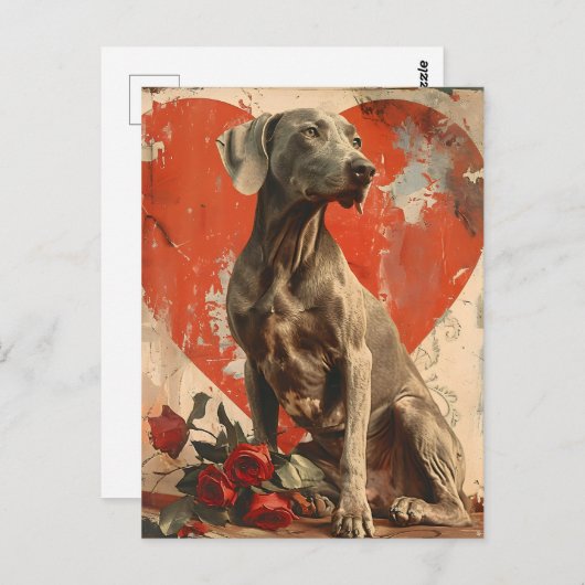 Weimaraner Vintager Valentinstag Postkarte (Vorne/Hinten)