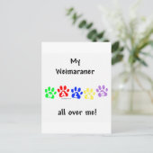 Weimaraner Walks Postkarte (Stehend Vorderseite)