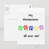 Weimaraner Walks Postkarte (Vorne/Hinten)