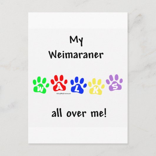 Weimaraner Walks Postkarte (Vorderseite)