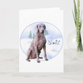 Weimaraner Weihnachten (Vorderseite)