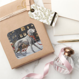 Weimaraner Weihnachtsfeiertage Quadratischer Aufkleber