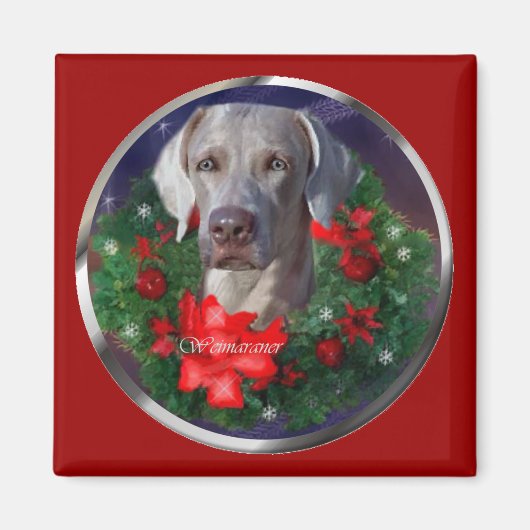 Weimaraner Weihnachtsgeschenke Magnet (Vorne)