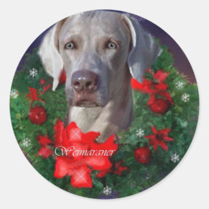 Weimaraner Weihnachtsgeschenke Runder Aufkleber