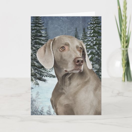 Weimaraner Weihnachtskarte Feiertagskarte (Vorderseite)