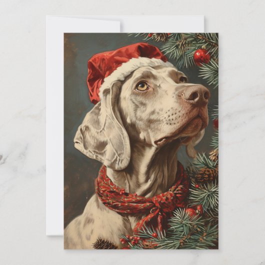 Weimaraner Weihnachtszeit Feiertagskarte (Vorderseite)