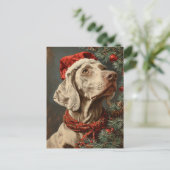 Weimaraner Weihnachtszeit Postkarte (Stehend Vorderseite)
