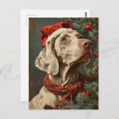 Weimaraner Weihnachtszeit Postkarte (Vorne/Hinten)