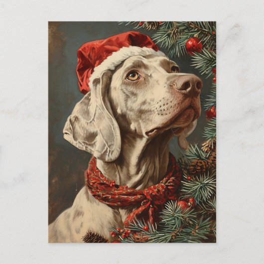 Weimaraner Weihnachtszeit Postkarte (Vorderseite)