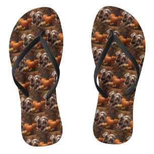 Weimaraner Welpe Autumn Delight Pumpkin Badesandalen