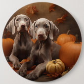 Weimaraner Welpe Autumn Delight Pumpkin Button (Vorderseite)