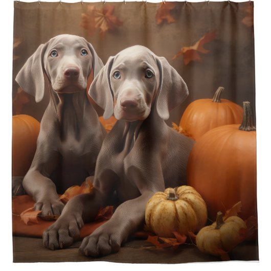 Weimaraner Welpe Autumn Delight Pumpkin Duschvorhang (Vorderseite)