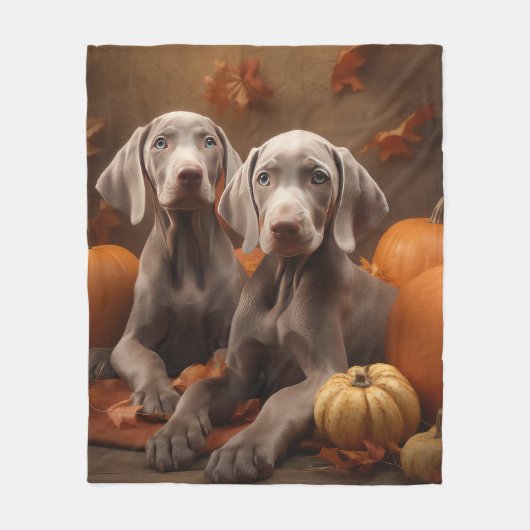 Weimaraner Welpe Autumn Delight Pumpkin Fleecedecke (Vorderseite)