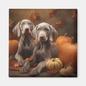 Weimaraner Welpe Autumn Delight Pumpkin Magnet (Vorne)