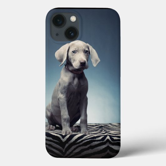 Weimaraner Welpe Case-Mate iPhone Hülle (Rückseite)
