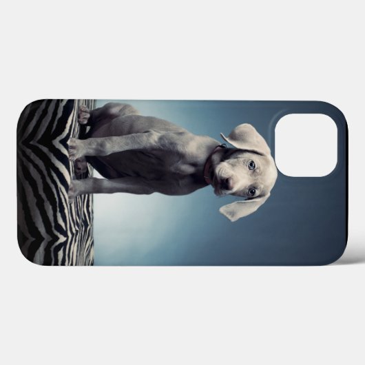 Weimaraner Welpe Case-Mate iPhone Hülle (Rückseite (Horizontal))