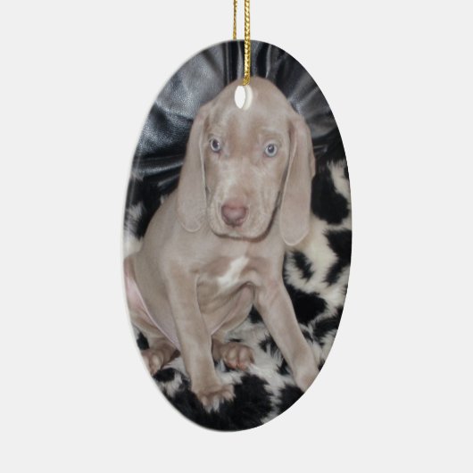 Weimaraner Welpe Keramik Ornament (Rechts)