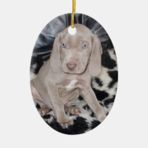 Weimaraner Welpe Keramik Ornament
