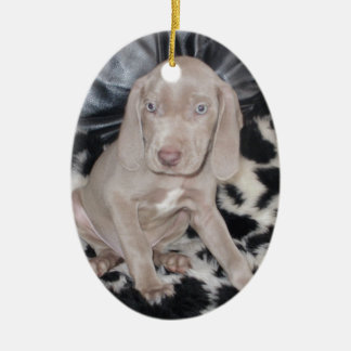 Weimaraner Welpe Keramik Ornament