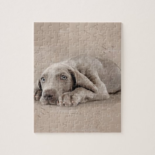 Weimaraner Welpe Puzzle (Vertikal)