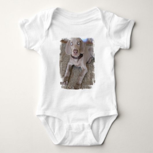 Weimaraner Welpen-Baby-T - Shirt (Vorderseite)