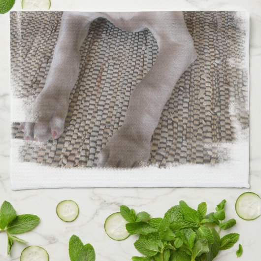 Weimaraner Welpen-Geschirrtuch Geschirrtuch (Gefaltet)