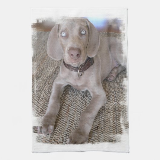 Weimaraner Welpen-Geschirrtuch Geschirrtuch (Vertikal)