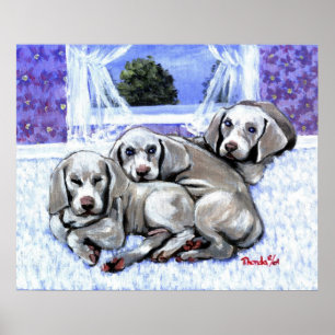 Weimaraner Welpen-Hundeporträt Poster