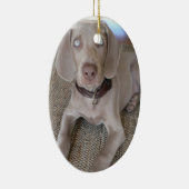 Weimaraner Welpen-Verzierung Keramik Ornament (Rechts)
