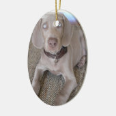 Weimaraner Welpen-Verzierung Keramik Ornament (Links)