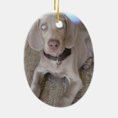 Weimaraner Welpen-Verzierung Keramik Ornament (Hinten)