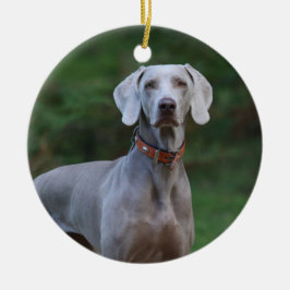 Weimaraner Welpenhund Keramik Ornament