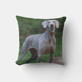 Weimaraner Welpenhund Kissen
