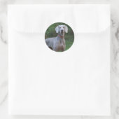 Weimaraner Welpenhund Runder Aufkleber (Tasche)