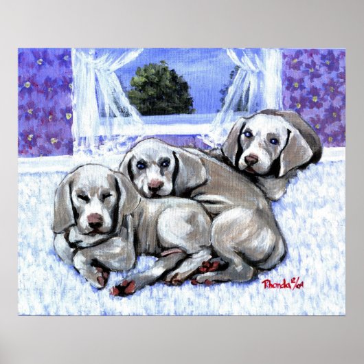 Weimaraner Welppies Dog Portrait Poster (Vorne)