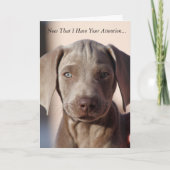 Weimaraner "You are the best" Grußkarte Karte (Vorderseite)