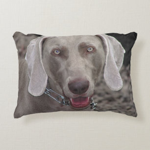 Weimaraner Zierkissen