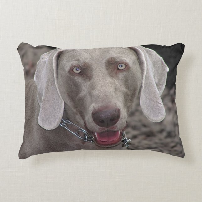 Weimaraner Zierkissen (Vorderseite)