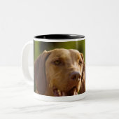 Weimaraner Zweifarbige Tasse (Vorderseite Links)