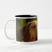 Weimaraner Zweifarbige Tasse (Links)