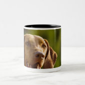 Weimaraner Zweifarbige Tasse (Mittel)