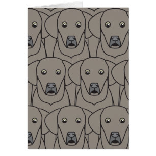 Weimaraners