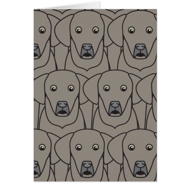 Weimaraners (Vorne)