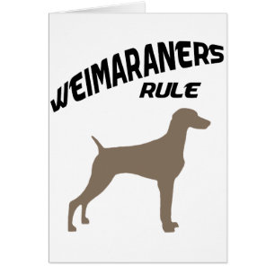 Weimaraners Regel